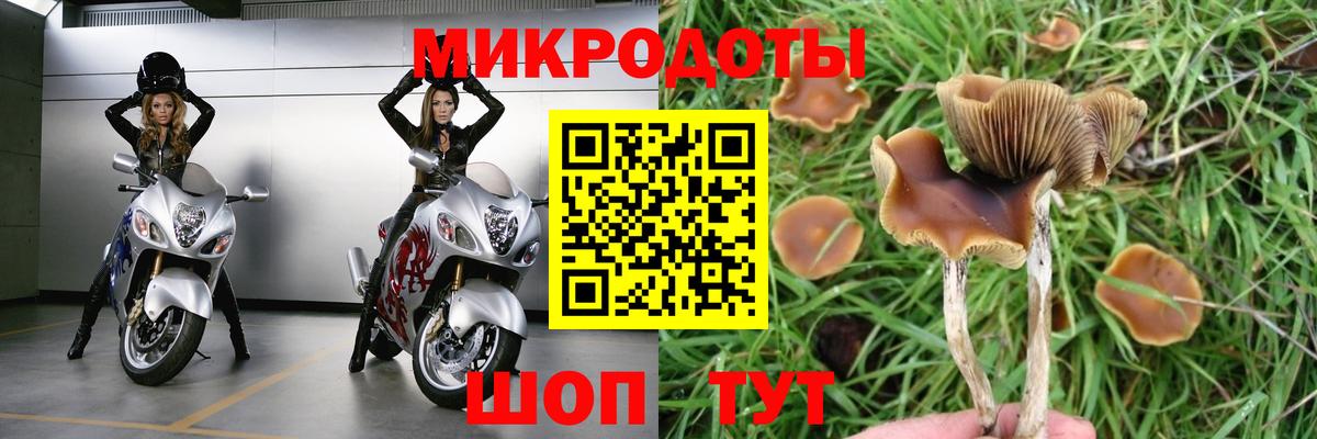 Гурьевск  Псилоцибиновые грибы MAGIC MUSHROOMS  Вход с VPN  Псилоцибиновые грибы Cubensis 